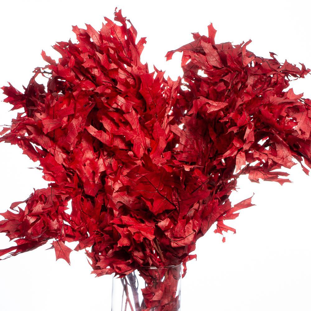 Preserved Red Oak Branches| 4009990...