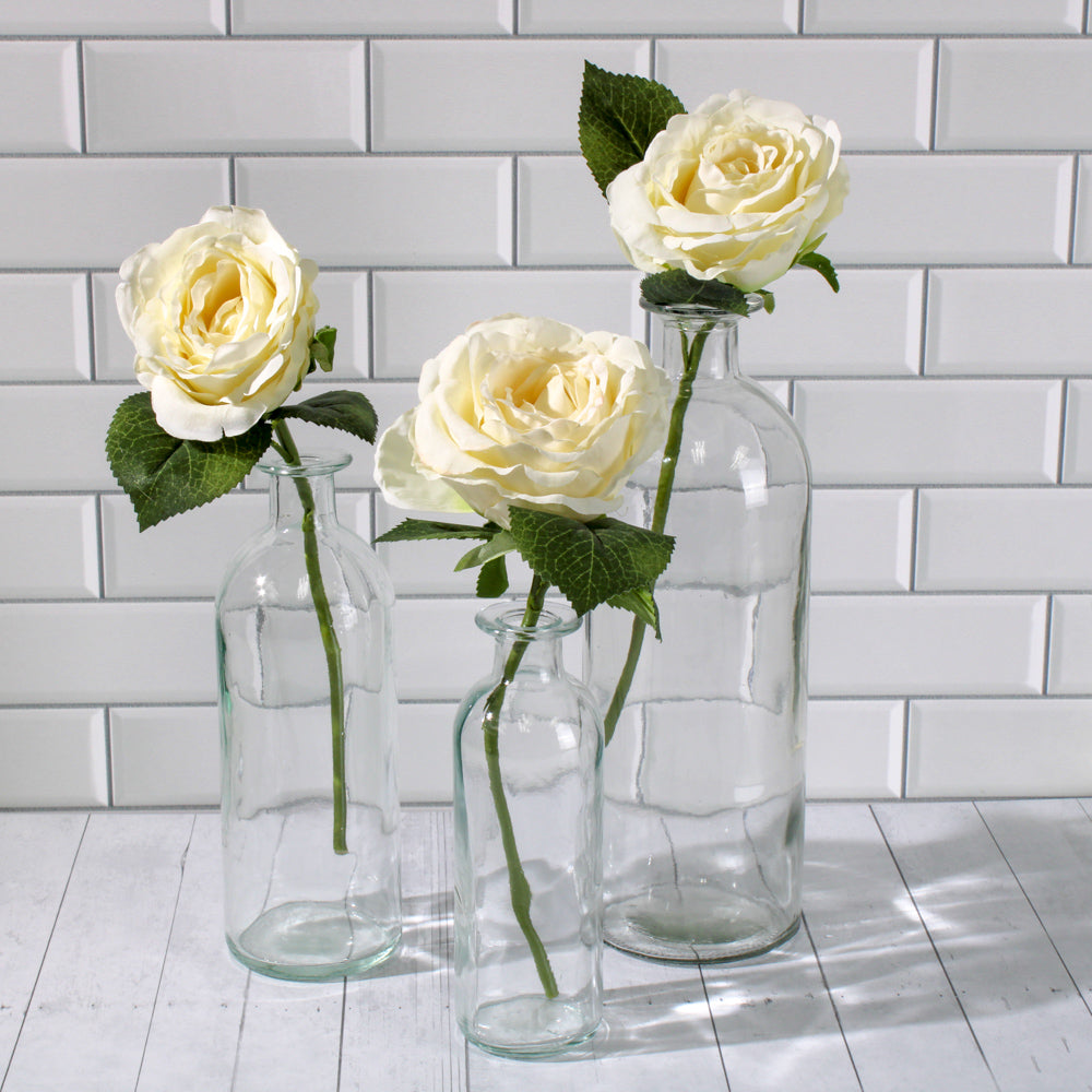 Richland Apothecary Glass Bottle 6" Set of 12 - view 3