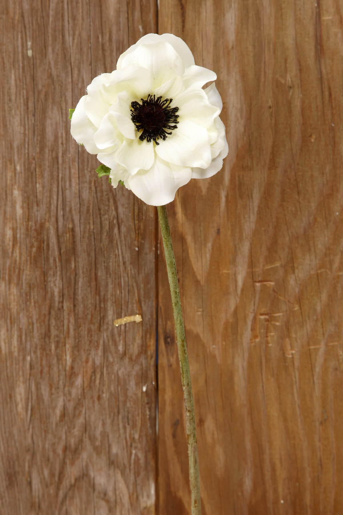 Cream White Silk Anemone Flowers 15in - view 1