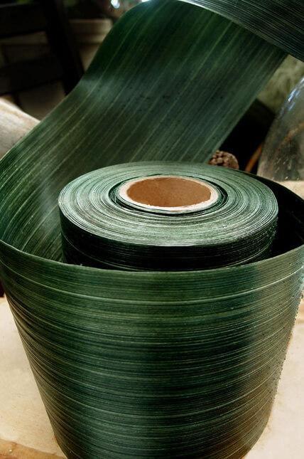 variegated aspidistra ti leaf floral ribbon 4in x 50 yards| 