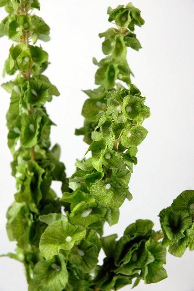 Silk Bells of Ireland 5 Stems 21in - view 4