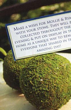 Natural Moss Balls 2 Inch (6 balls)| 