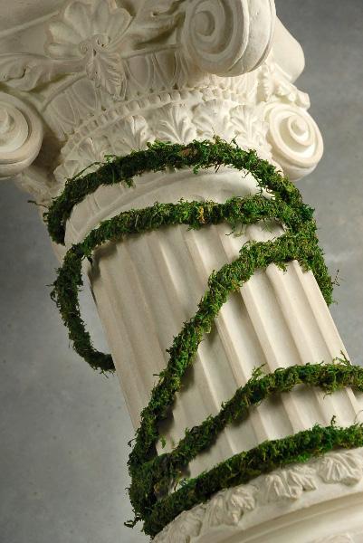 moss vine preserved 12ft| 7598342...