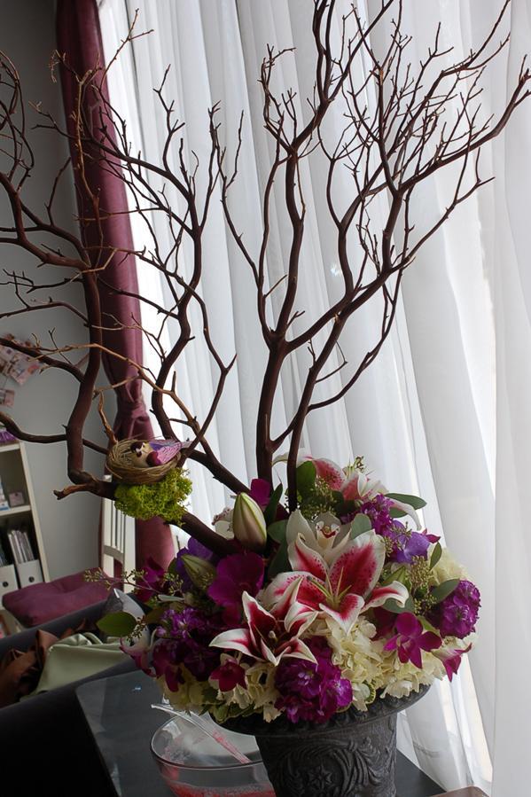 manzanita branches red bark 16 18in| 