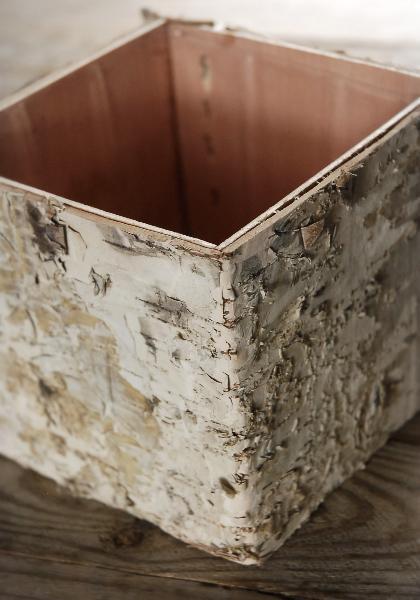 Birch Bark Square Pot with Liner 5in| 8423060...