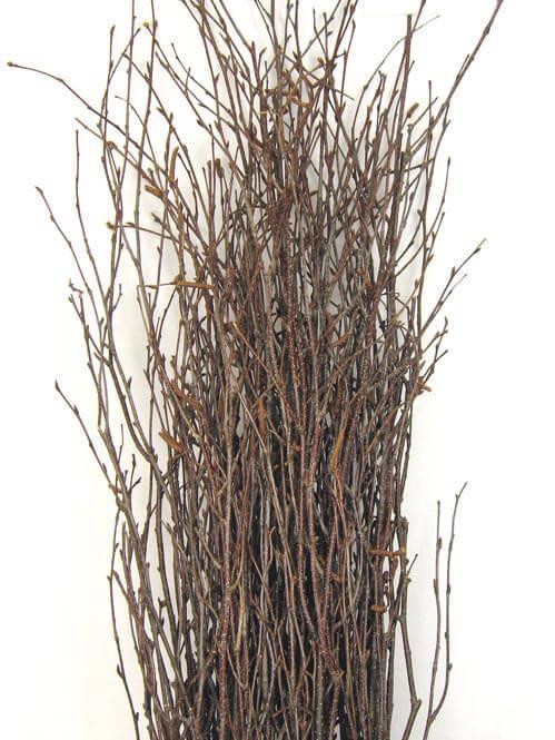 Natural Birch Tree Branches 3-4ft (25 branches) - view 1