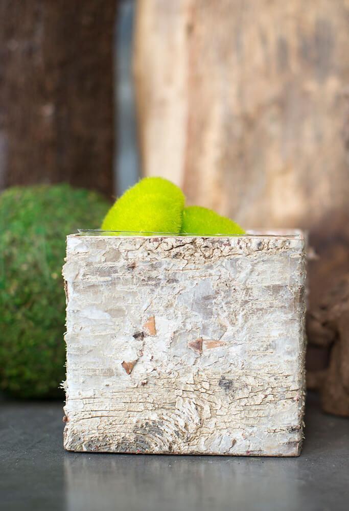 birch bark square pot with liner 5in - view 4