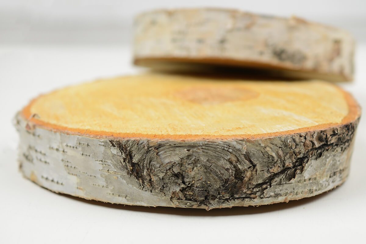 birch slab round 8 x 1 thick| 