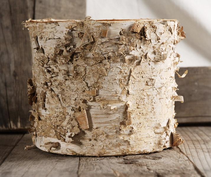 Birch Bark Planter w/ Plastic Liner  7x6 - view 2