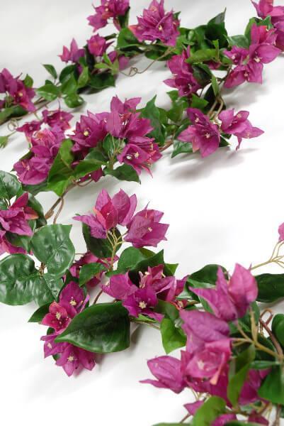 Bougainvillea Garlands| 0338493...