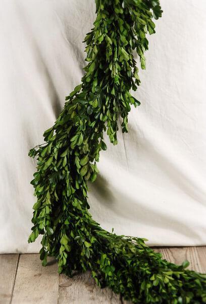 Natural Preserved Boxwood Garland 45in| 