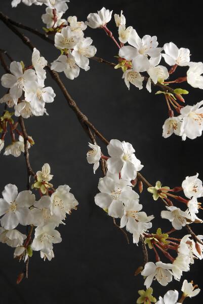 cherry blossom branch 42in white flowers| 0338493...