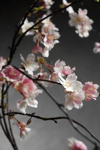 Silk Cherry Blossom Branches 58"| 