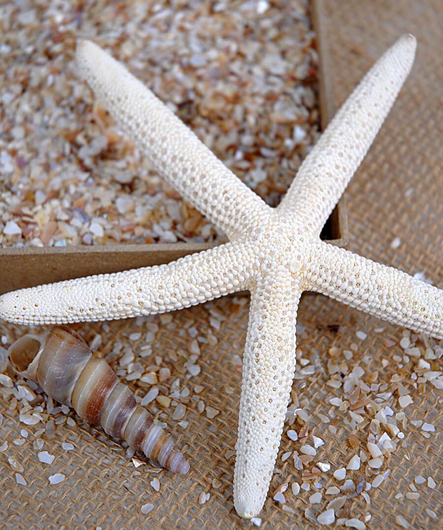 Crushed Shells Fine 1.75 lbs - view 2