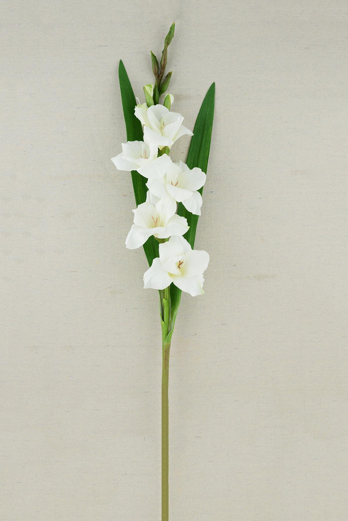 Gladiolus Flower Cream 33in| 0338491...