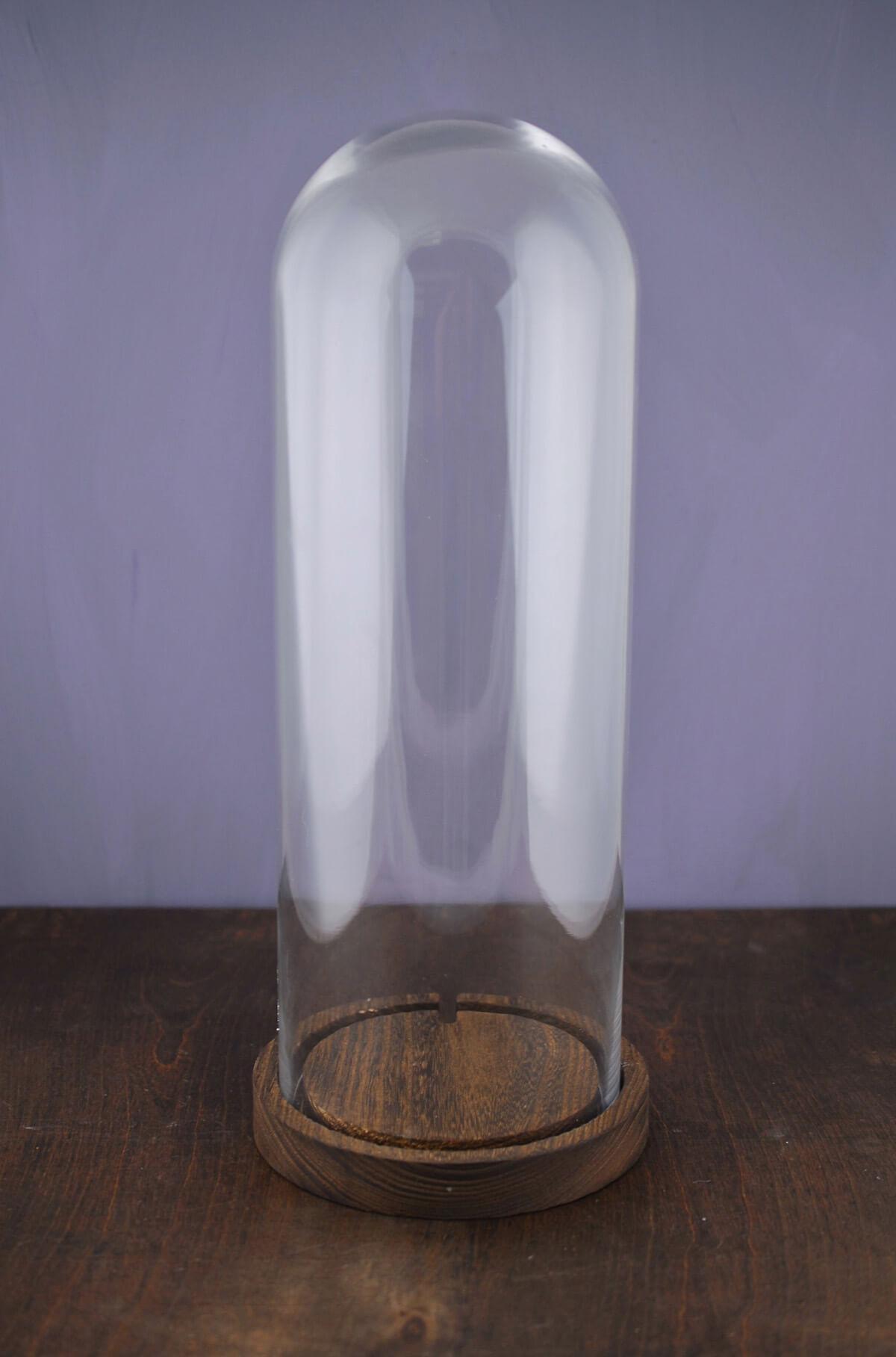 16 glass cloche| 