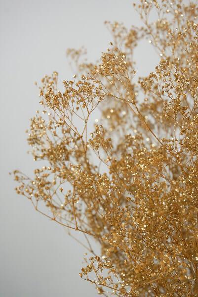 Gold Baby's Breath Branches 4oz Bunch 26in| 
