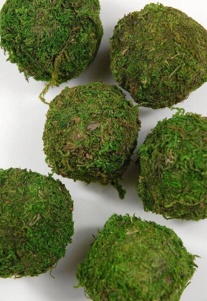 Natural Moss Balls 2 Inch (6 balls)| 