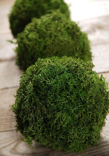Green Reindeer Moss 4"  Balls (set of 3)| 0338492...