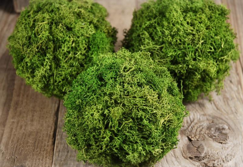 Green Reindeer Moss 4"  Balls (set of 3) - view 2