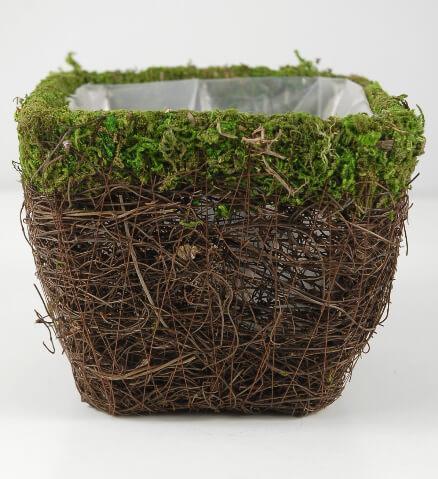 moss and wicker square pot 5in| 4009990...
