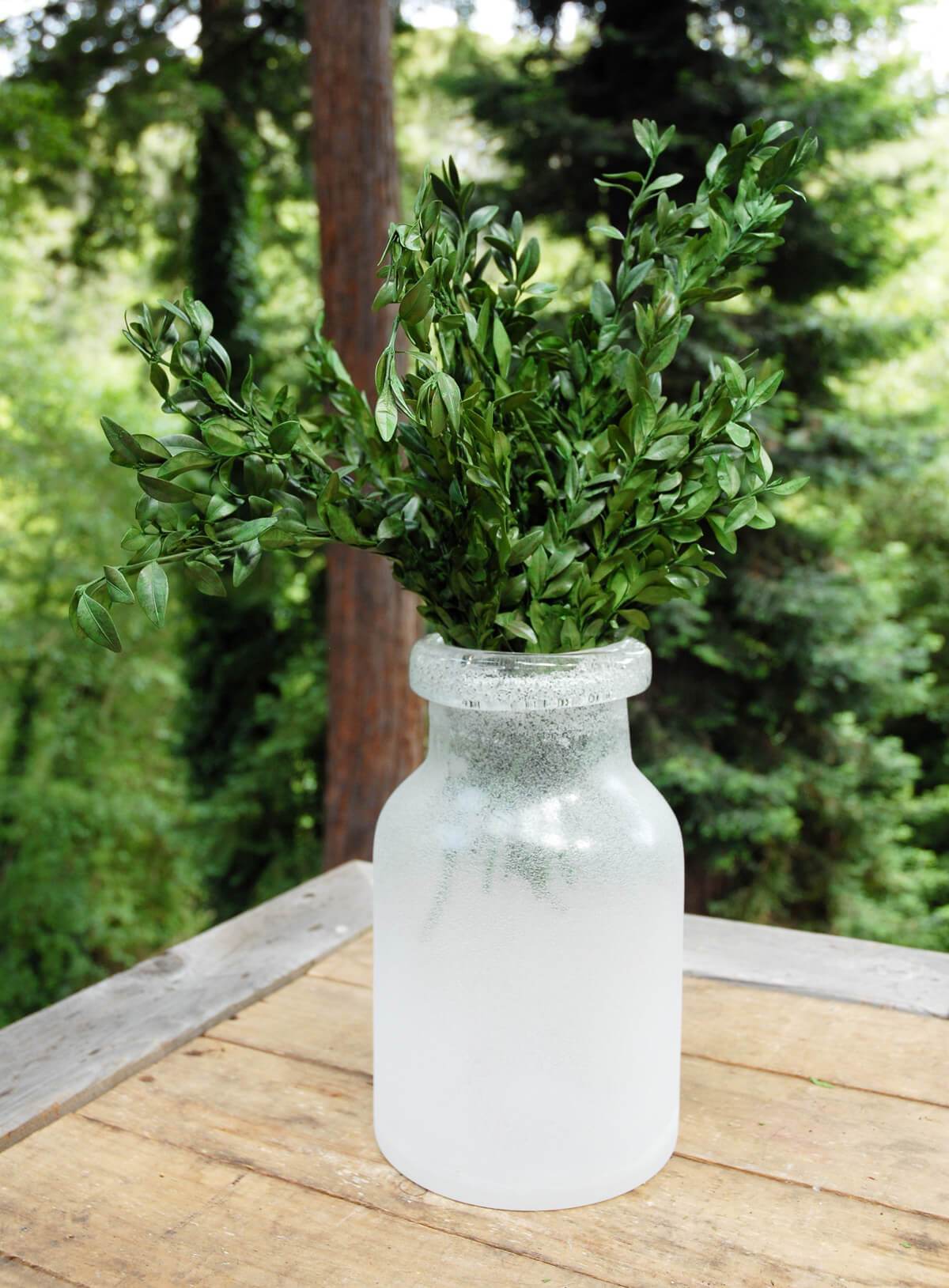 Preserved Boxwood Bundle in Natural Green 5oz. - view 3