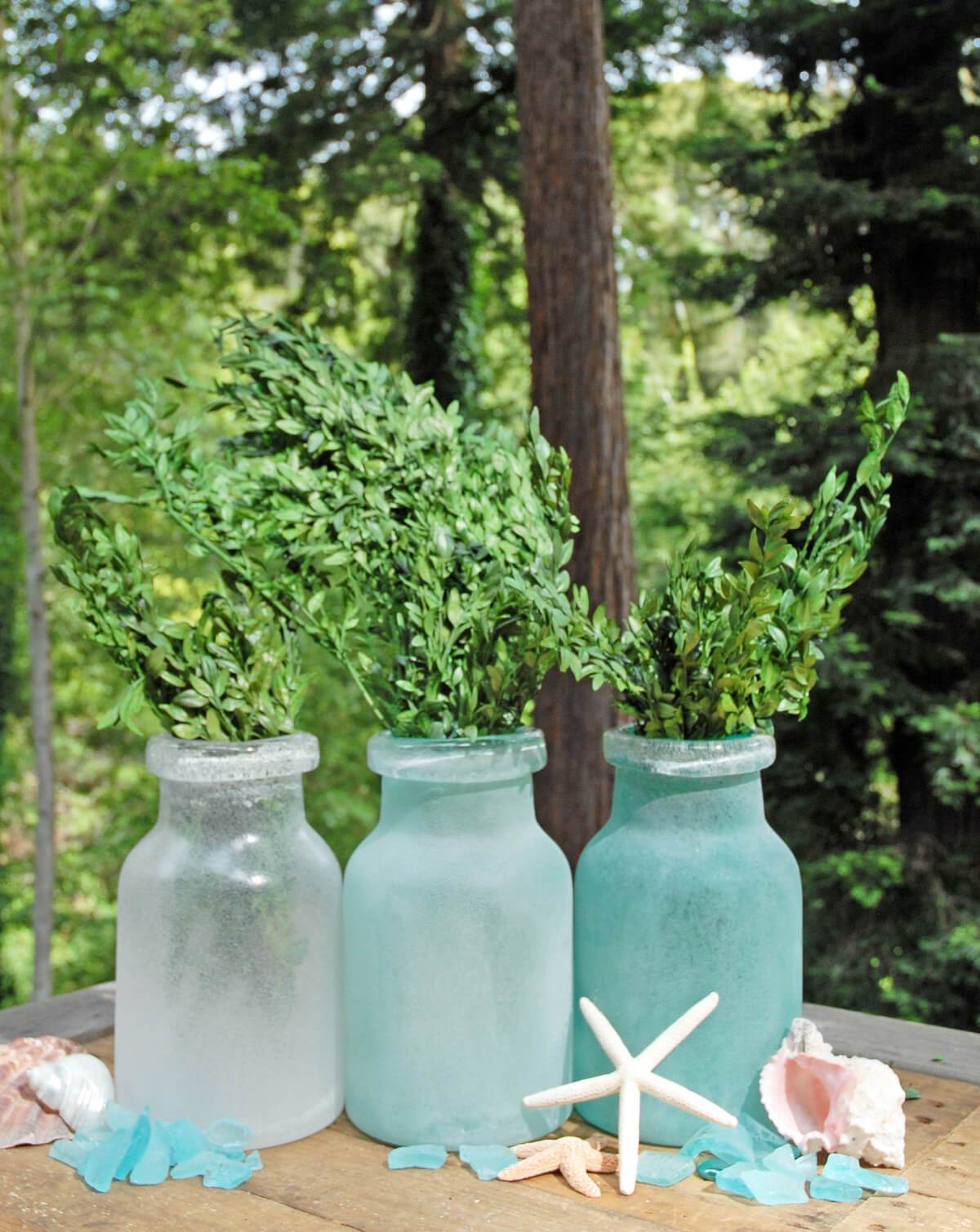 Preserved Boxwood Bundle in Natural Green 5oz.| 