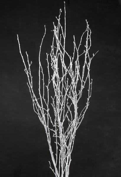 silver birch tree branches 3 4 ft 4 branches - view 2