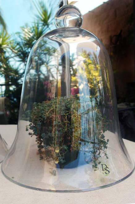 Thick Glass Bell Jar 11-1/2"| 