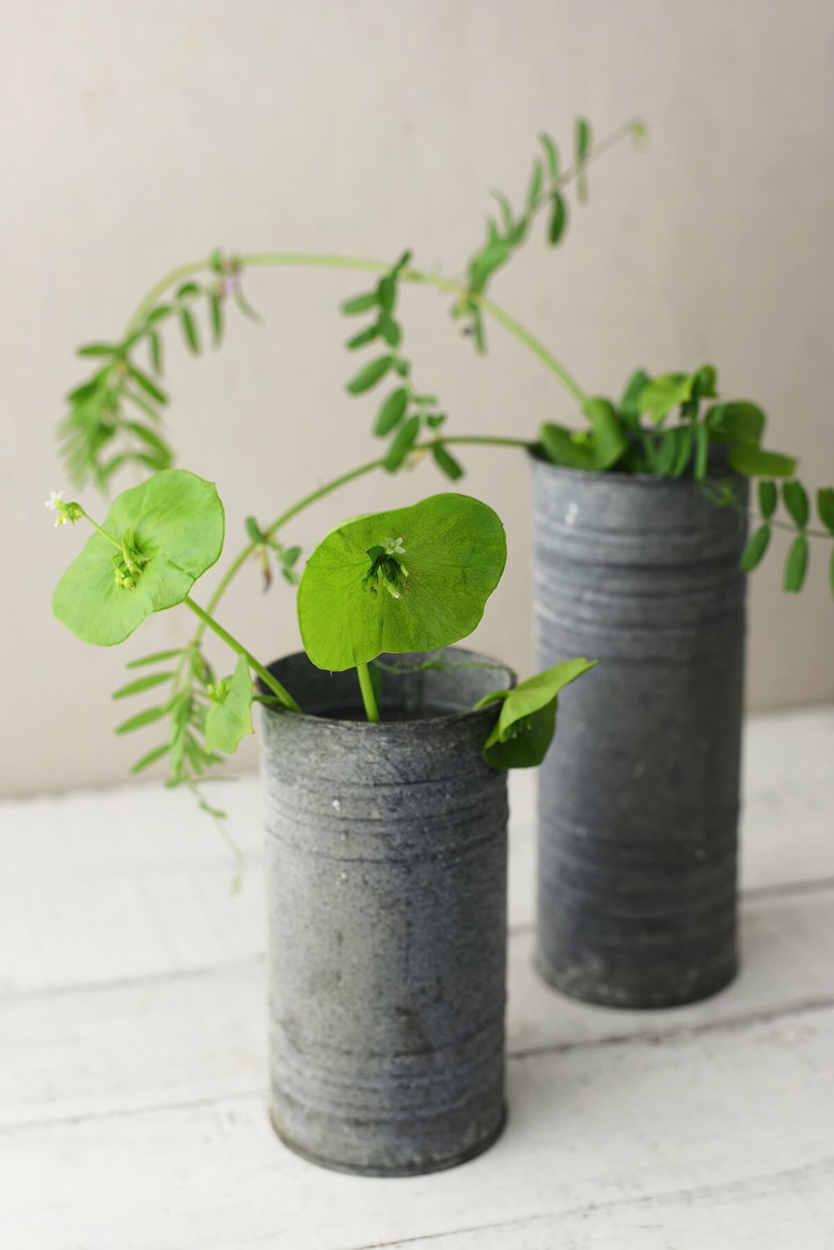 Zinc Cylinder Vase & Pillar Candle Holder 6"| 2525946...