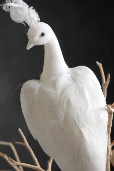 White Feathered Peacocks 17in - view 1