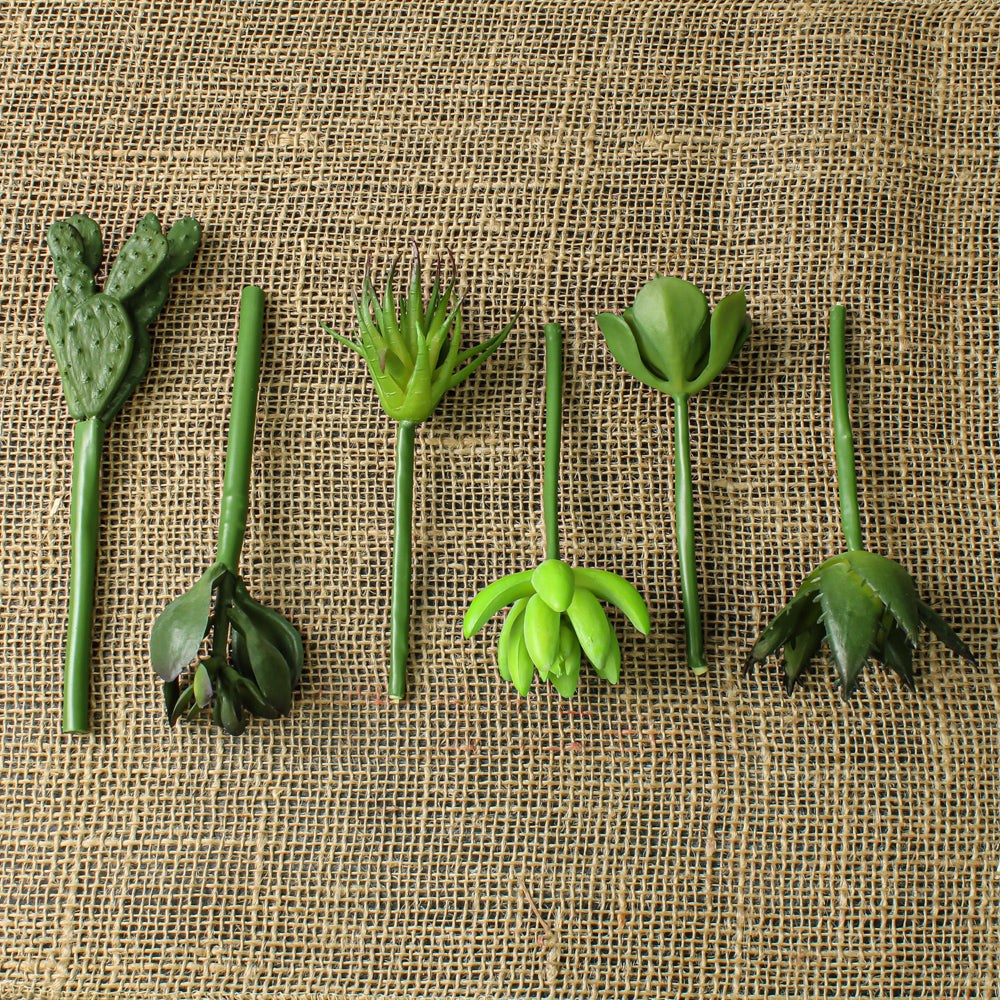 succulent picks 5 7in set of 6