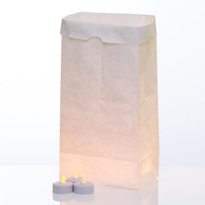 Eastland White Luminary Bags & Richland LED Tealight Candles Set of 72