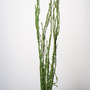 Moss Covered 48"-52" Coastal Range Natural Branches Bundle of 3