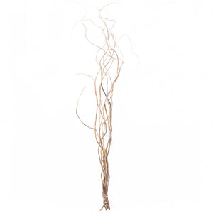 Curly Willow Tree Branch Bundle, 3-4 Feet