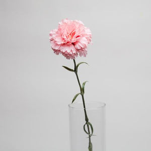 Richland Pink Carnation 27"
