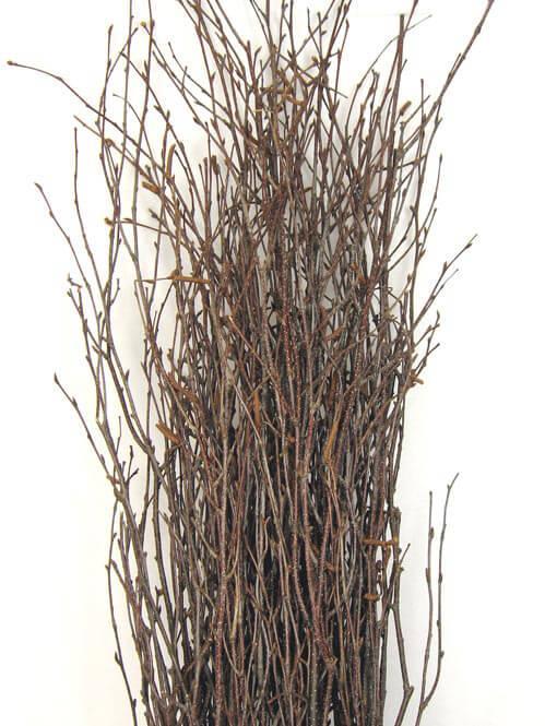 Natural Birch Tree Branches 3-4ft (25 branches)