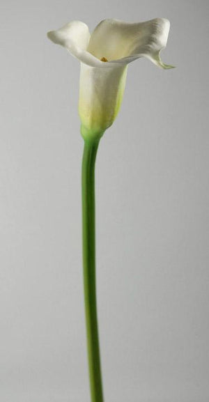 Real Touch Calla Lily in White 27"
