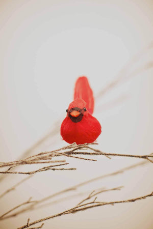 12 Artificial Cardinal Feathered Birds 5"