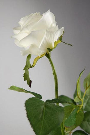 Cream White Long Stem Silk Roses 27"