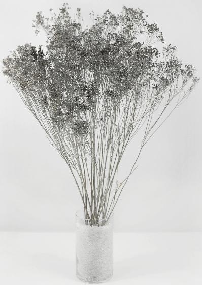 silver broom bloom 3oz bunch 20 branches 28in