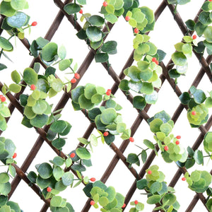 Expandable Trellis Ilex and Red Berries 78" x 39"
