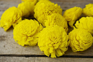 Sola Flowers Yellow Chorki Flowers (12 flowers)