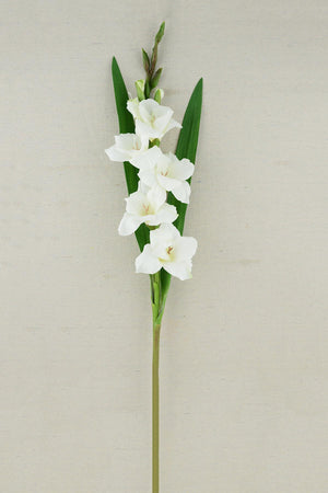 gladiolus flower cream 33in