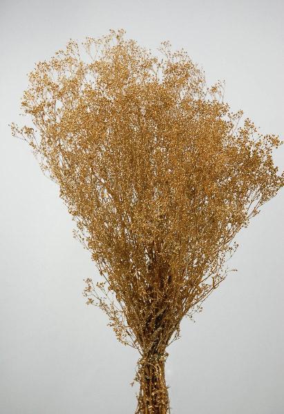 Gold Baby's Breath Branches 4oz Bunch 26in