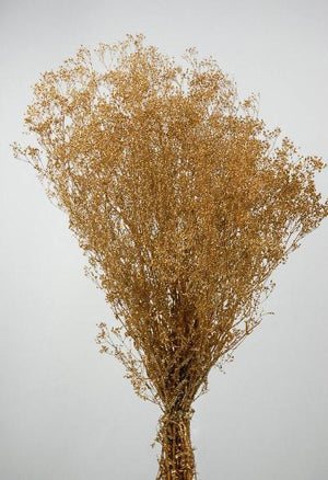 gold baby s breath branches 4oz bunch 26in
