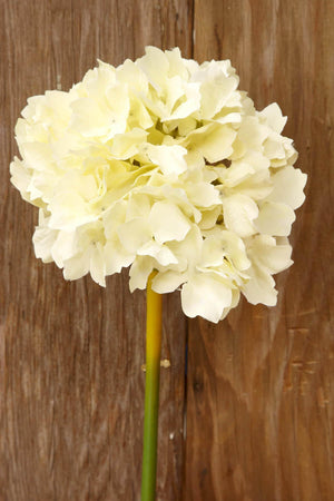 ivory white silk hydrangea flowers