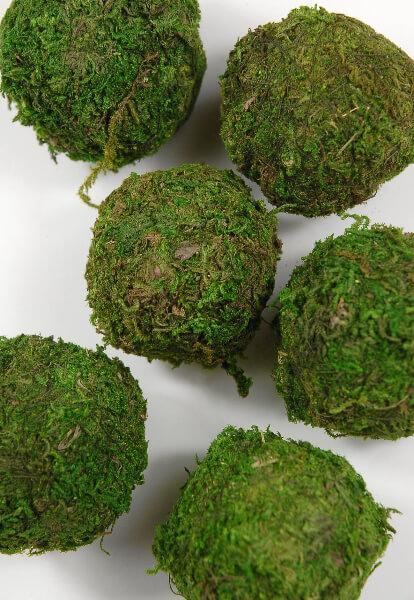 Natural Moss Balls 2 Inch (6 balls)
