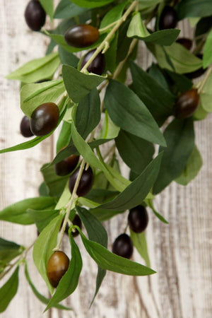Olive Branch 31.5in