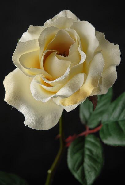 12 Silk Cream White Silk Roses